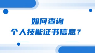 如何查询个人技能证书信息？
